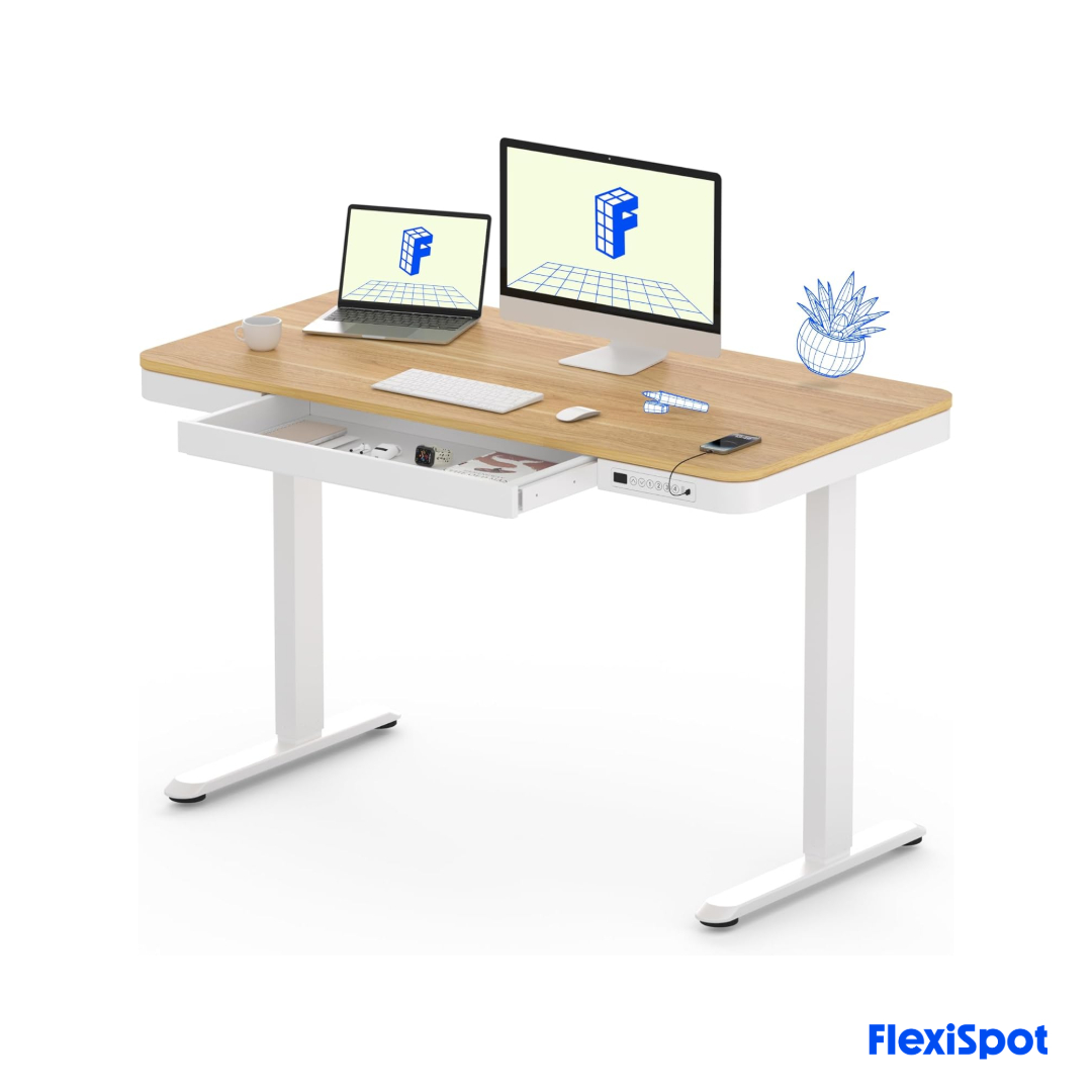 Untitled-2 (1) Flexispot EW9 - Standing Desk with Drawers