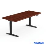 Flexispot E7 Pro 2026 - Height Adjustable Ergonomic Standing Desk
