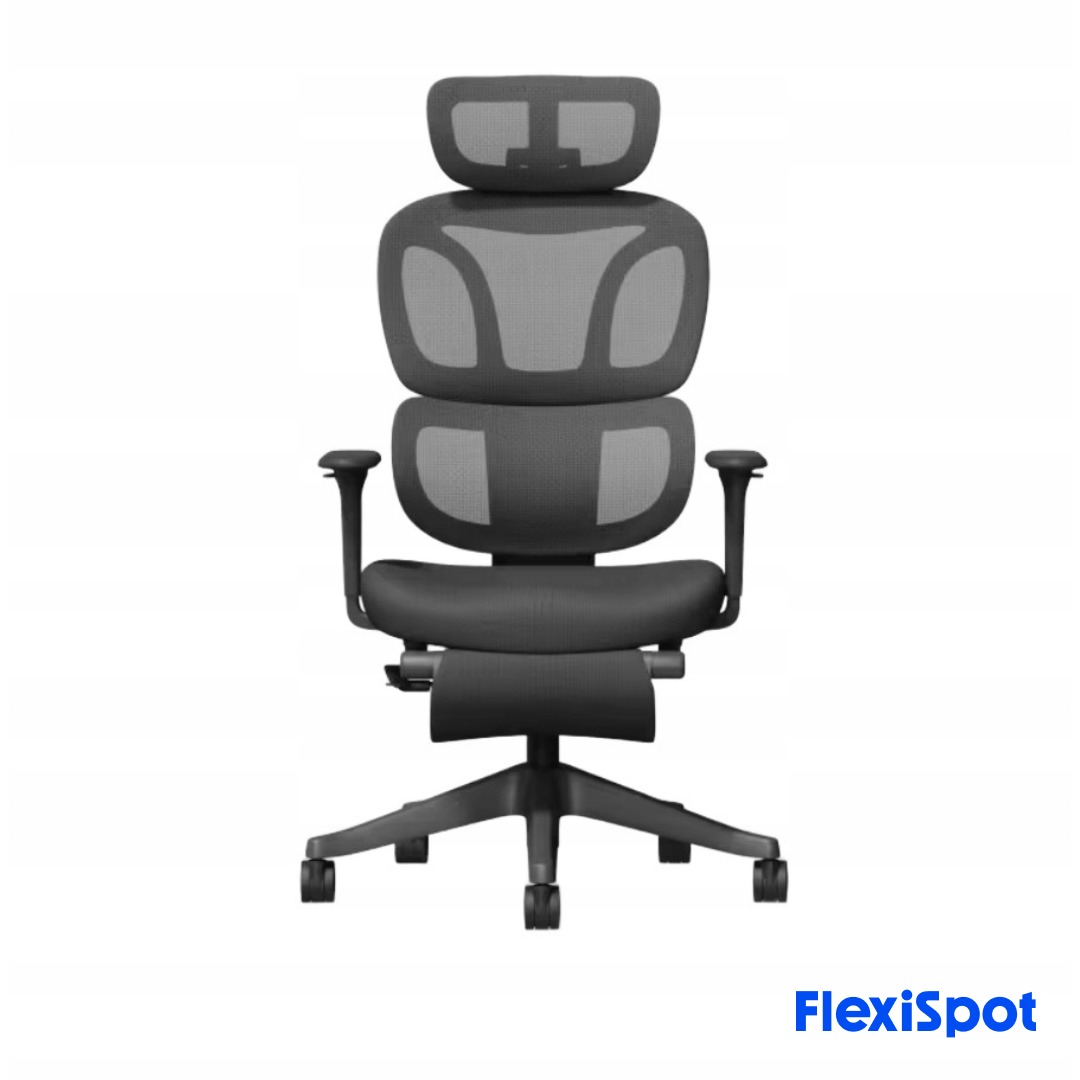 Flexispot BS5 PRO Ergonomic Chair