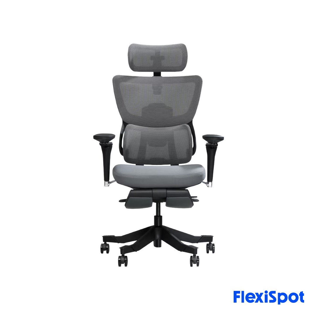 Flexispot C7 Max - Premium Ergonomic Chair